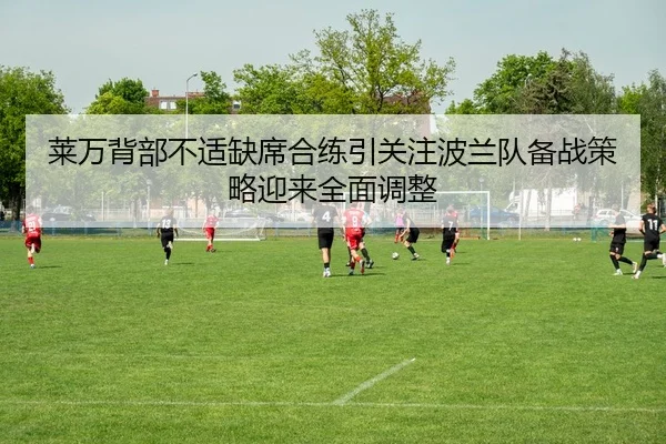 莱万背部不适缺席合练引关注波兰队备战策略迎来全面调整（kaiyun）